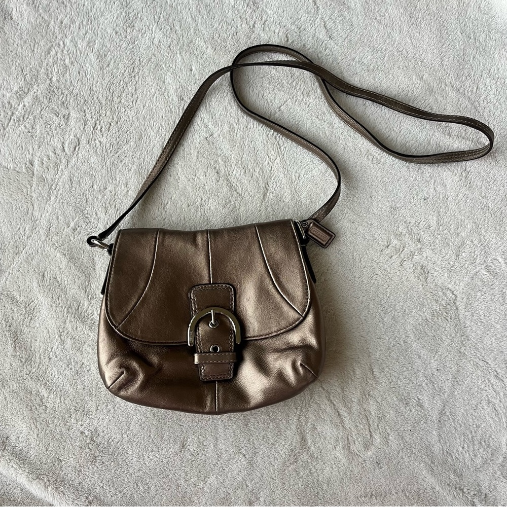 Chic Metallic Crossbody Bag